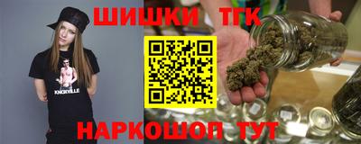 молекула духа Кингисепп