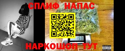 мяу мяу мука Камышлов
