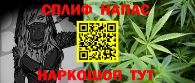молекула духа Кингисепп
