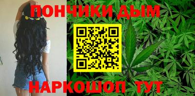 молекула духа Кингисепп