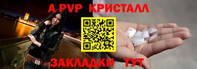 молекула духа Кингисепп