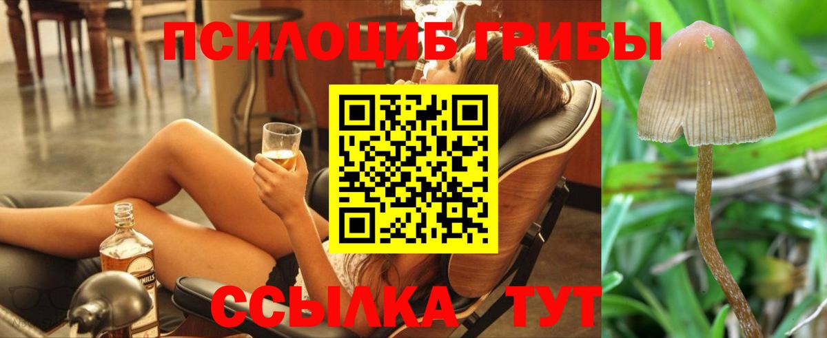 Иркутск  Псилоцибиновые грибы мухоморы  Вход с VPN 